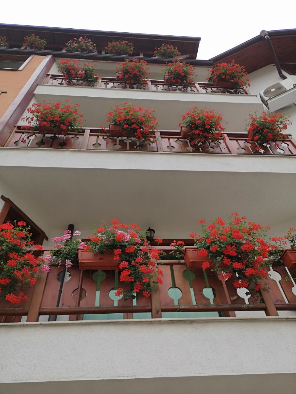 La Pierre Apartments Μπάνσκο Εξωτερικό φωτογραφία